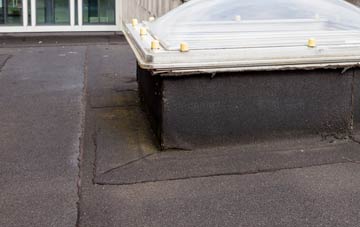 disadvantages of Palmersville flat roofs