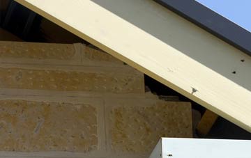 soffit repair Palmersville