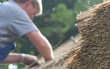 professional Palmersville thatchers