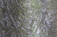 Palmersville fibreglass roof work